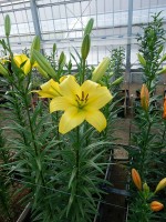 [5588 VH18 No01.JPG]